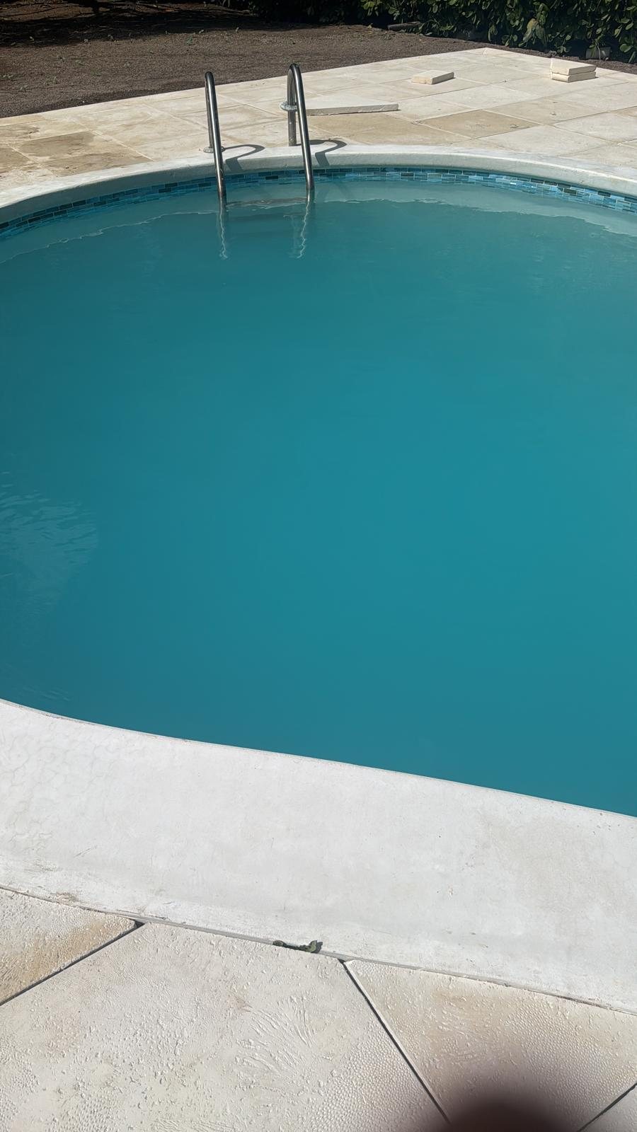 Curved pool with mosaic tile edge and fresh stone coping.